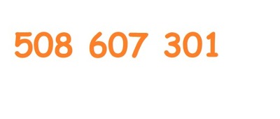 507 607 301 ZŁOTY NUMER Orange 100GB