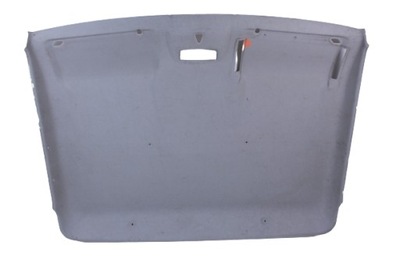 Потолок nissan cabstar maxity 07r. фото №1