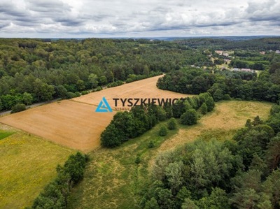 Działka, Tadzino, Gniewino (gm.), 14500 m²