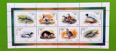 Fauna - Ryby - Ptaki - Kirgistan