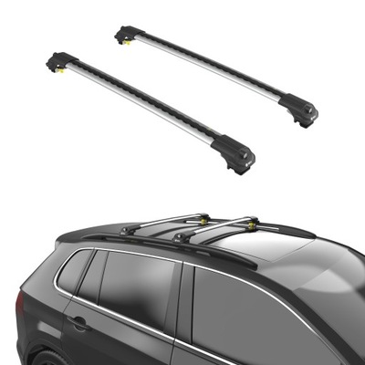 TURTLE MALETERO DE TECHO AIR-1 PARA BMW X3 E83 2003 - 2010 SREBRO  