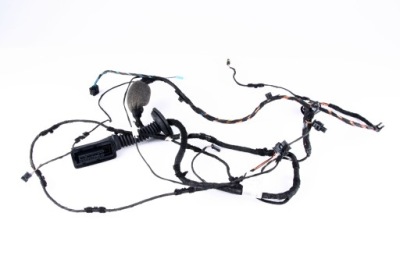 Bmw x3 g01 жгут электропроводка дверь правый перед 8792805 фото №1