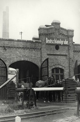 Świętochłowice - Reprodukcja 24978