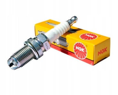 NGK PLUG IGNITION 6955 CR9EB  