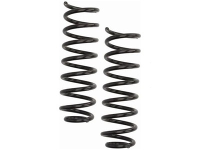 Пружины задняя renault scenic ii 1.4-2.0 03-09 фото №1