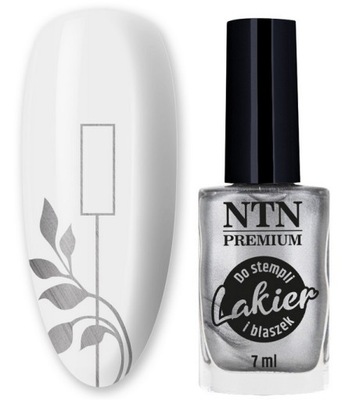 LAKIER DO STEMPLI BLASZEK PIECZĄTEK NTN SILVER