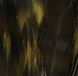 Chenchilla pióra koguta - Olive Dun