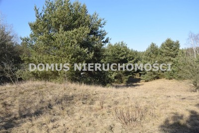 Działka, Tworzyjanki, Brzeziny, Brzeziński, 8000 m²