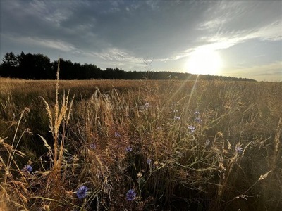 Działka, Chocznia, Wadowice (gm.), 800 m²