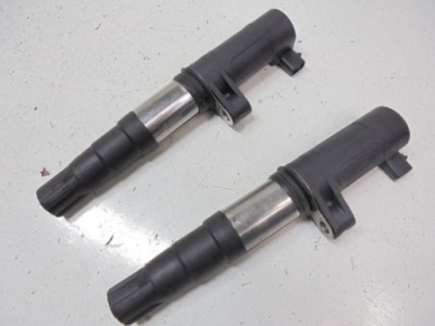 Thalia i котушки u5001 1,4 16v фото №1