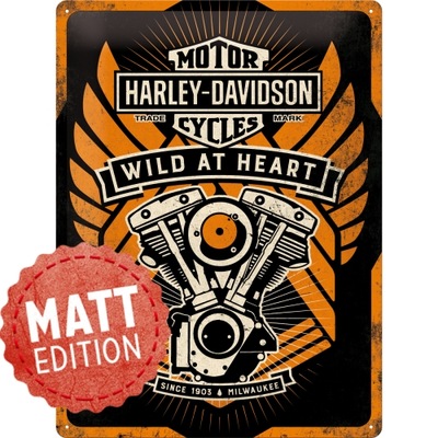 Harley Davidson Silnik USA Logo Mat Edition Tablic
