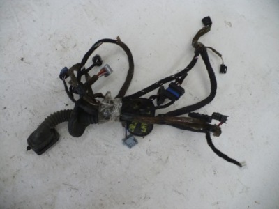 Жгут дверь левый перед latitude 241253134r фото №1