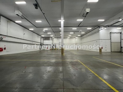 Magazyny i hale, Toruń, 1230 m²