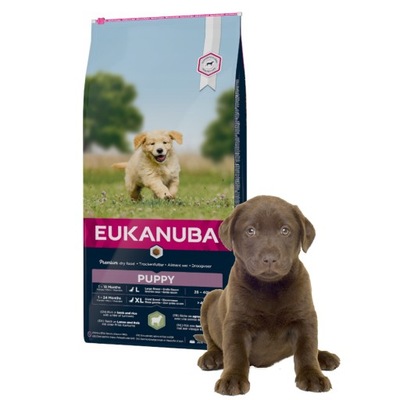 EUKANUBA Puppy Junior Lamb Rice 12kg