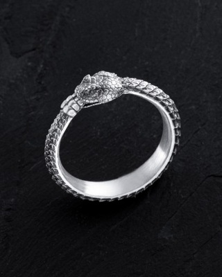 Srebrny pierścień OUROBOROS 19