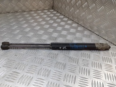 Амортизаторы крышки задняя fiat idea 046830389 фото №1