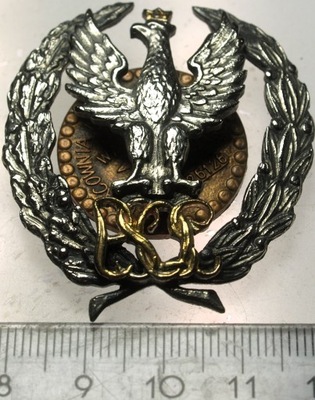 Odznaka absolwencka PSOS AON