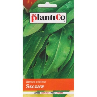 PlantiCo Szczaw