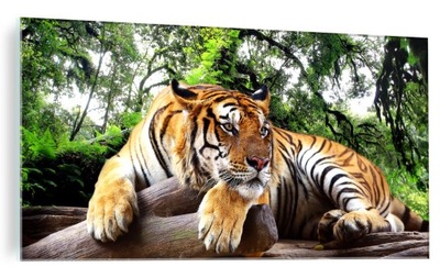 Obraz dekoracyjny na szkle szklany tygrys foto 100x50 cm
