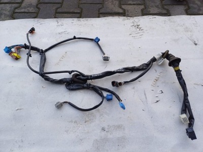 Джгут кабелі дроти електропроводка проводка двері ліва scania s r ntg фото №1