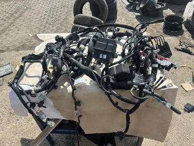 Renault austral 1,2 e-tech електропроводка фото №1