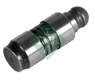 INA 420023010 PUSH ROD VALVES  