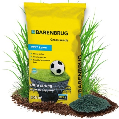 BARENBRUG SPORT GRASS УСТОЙЧИВАЯ К ВЫТАПТЫВАНИЮ, ЗАНАВЕСНАЯ RPR LAWN SPORT 5 КГ