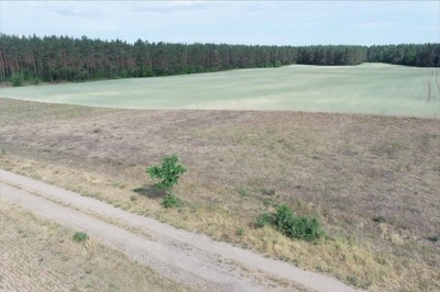 Działka, Biały Bór (gm.), 883 m²