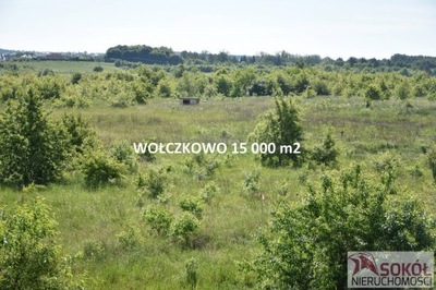 Działka, Wołczkowo, 15000 m²