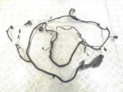 Жгут электропроводка дверь keyless камера доводчик перед bmw f10 f11 фото №1