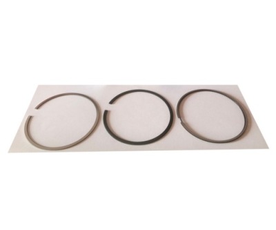 Кільця поршневі audi rs4 rs5 r8 4,2 v8 5,2 v10 фото №1