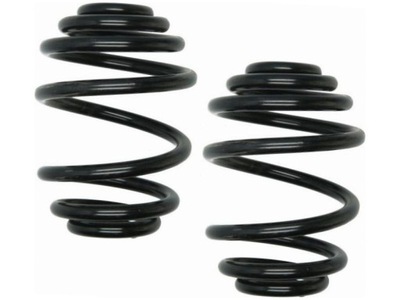 Пружини задня lesjofors 4263428 фото №1