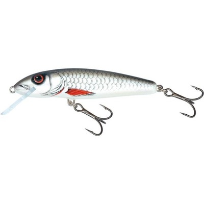 Wobler Salmo Minnow tonący 6cm 6g DACE QMW018