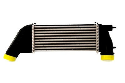 FAST INTERCOOLER FIAT SCUDO 07>  