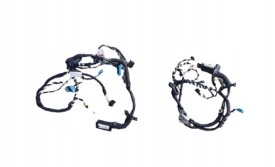 Vw tiguan джгут шланг двері 5nc971558ad фото №1