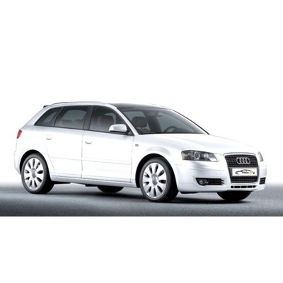 AUDI A3 8P SPORTBACK JUEGO ZAROWEK DIOPARA LUMINOSO LED PARA INTERIOR  