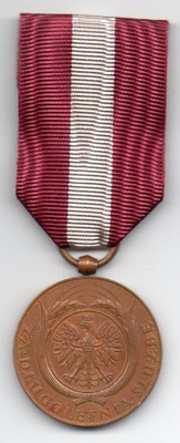 2RP - Brązowy Medal Za Długoletnią Służbę X Lat