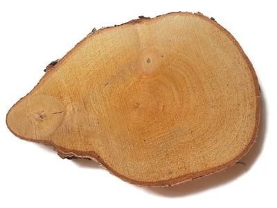 Plastry drewna brzoza PODŁUŻNE 20-25 cm nieregularne kształty EKO