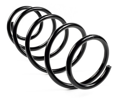 Пружина задняя renault trafic ii 2 1.9 2.0 2.5 '01- фото №1