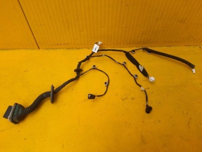 Express 21r.- джгут двері правий перед 241244823r фото №1