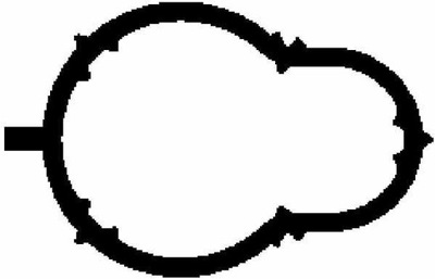 GASKET MANIFOLD  