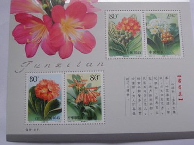 Chiny - kwiaty Kliwia - Mi. bl.96 **