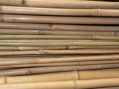 Tyczki bambusowe 90 cm śred. 6-8mm 10 szt.
