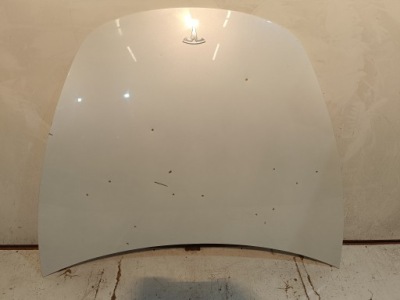 Крышка двигателя капот tesla 3 iii 17+ фото №1