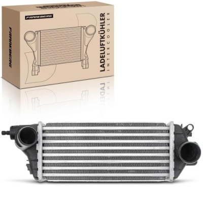 Frankberg радиатор воздуха наддувочный для  mini mini r50 r53 1.4l фото №1