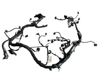 Fiesta mk8 1.0 ecoboost джгут двигуна фото №1