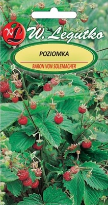 POZIOMKA 'BARON VON SOLEMACHER' - b. smaczna (L)
