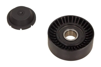 ROLLO CORREA MULTICOSTAL FIAT 1,616V 531076010  