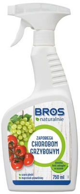 BROS NATURALNIE NA CHOROBY GRZYBOWE GRZYB PLEŚŃ 750 ml