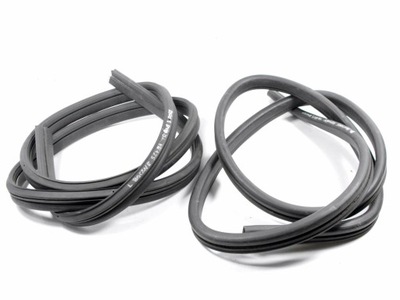 Chevrolet trans sport прокладка скло двері задня фото №1